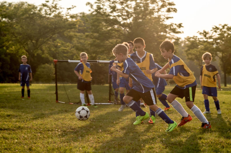 House League Soccer » Royal York Football Club Etobicoke