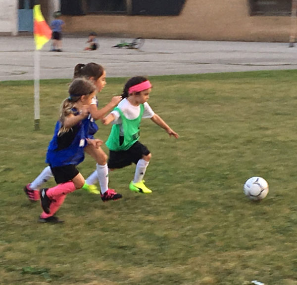 Summer Soccer » Royal York Football Club Etobicoke